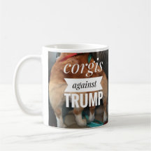 corgi contra mugre