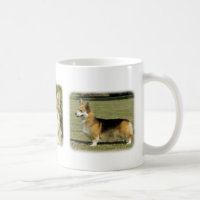 Corgi Galés (Pembroke)
