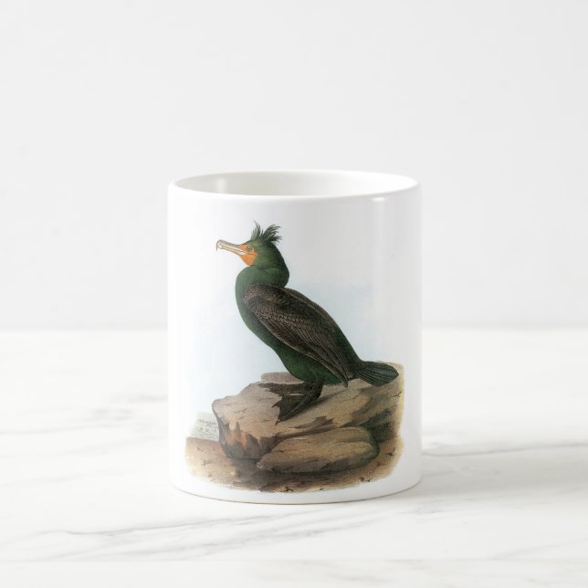 Taza De Café cormorán Doble-con cresta por Audubon (Centro)