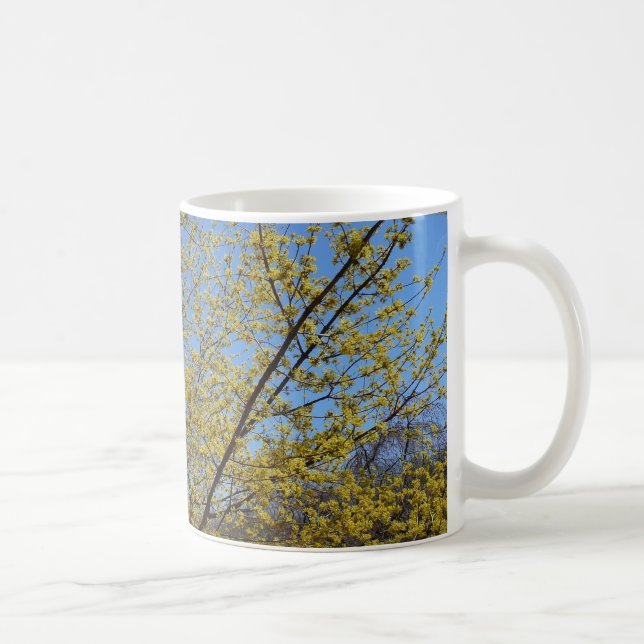 Taza De Café Cornelian Cherry Dogwood y Blue Sky Floral (Derecha)