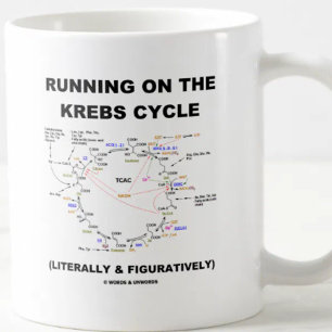 Taza De Café Corriendo En El Ciclo Krebs (Humor De Ciencia)