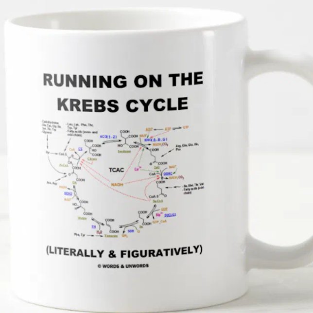 Taza De Café Corriendo En El Ciclo Krebs (Humor De Ciencia) (Biochemistry attitude mug for anyone who runs on the Krebs cycle (literally & figuratively)!)