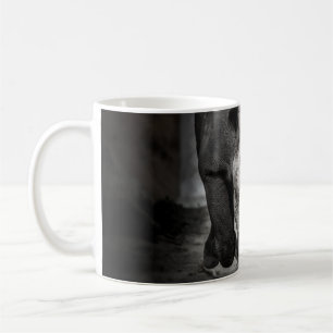 Taza De Café Corriendo Rhinoceros: Retrato Animal Salvaje.