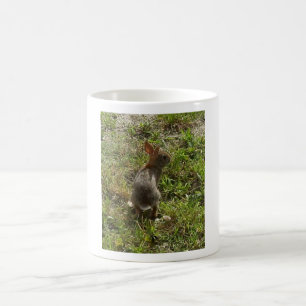 Taza De Café Cosas de liebre de conejo conejo conejo conejo con