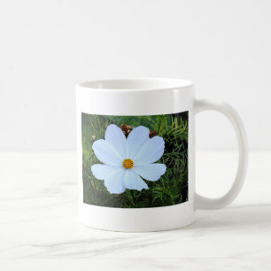 Taza De Café Cosmos blancos