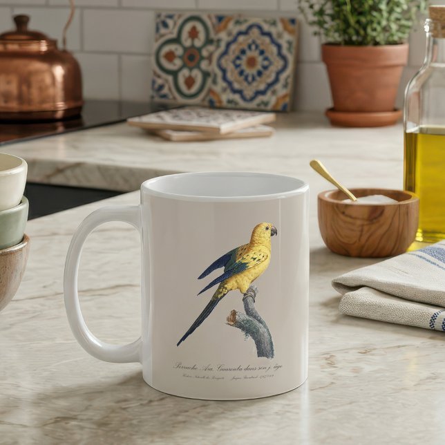 Taza De Café Cotorra del Sol o Aratinga solstitialis (Guarouba dans sons jeune age / Sun parakeet. Coffee Mug)