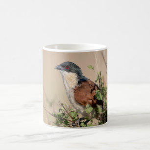 Taza De Café Coucal de Burchell