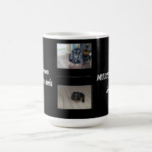 Courage & Love Tributo a Mascotas con Melanoma