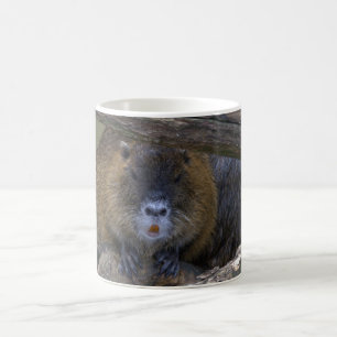 Taza De Café Coypu