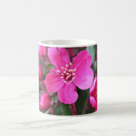 Taza De Café Crabapple de floración rosa