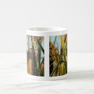 Taza De Café Cratillo de pantano B3
