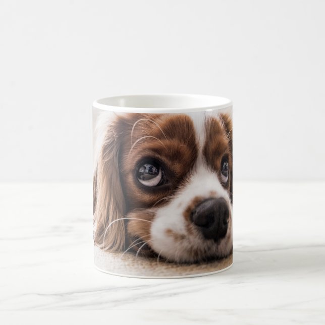 Taza De Café Crear su propio archivo fotográfico Mascota (Centro)