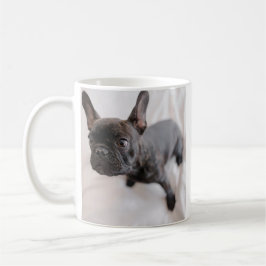 Taza De Café Create Your Own Pet Photo 