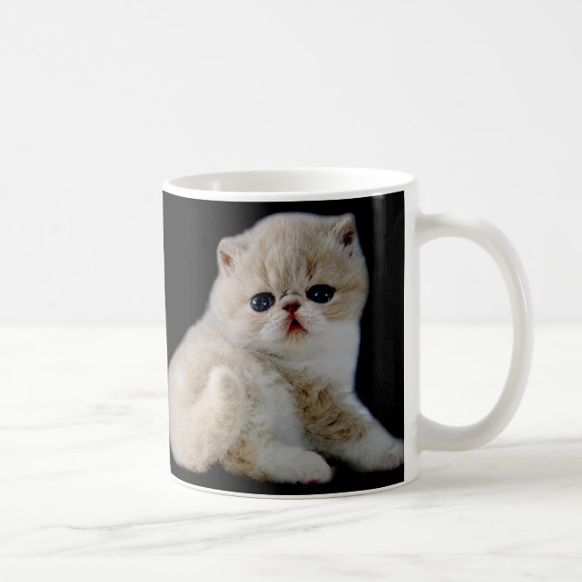 TAZA DE CAFÉ CREE SU PROPIA FOTO DEL MASCOTA (Derecha)
