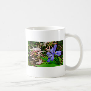 Taza De Café Crested Dwarf Iris