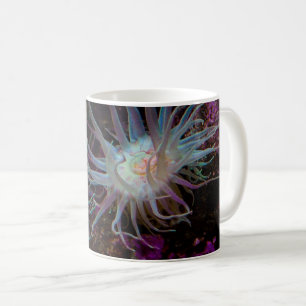Taza De Café Crimson Anemone Coffee Mug