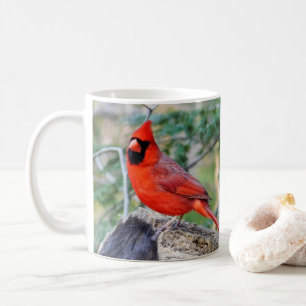 Taza De Café Crimson Cardinal Woods