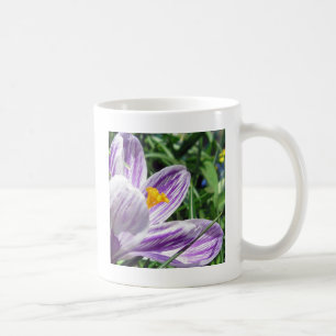 Taza De Café Crocus violeta de primavera