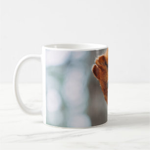 TAZA DE CAFÉ CUADRÍCULA EN TRUNK DE ÁRBOL