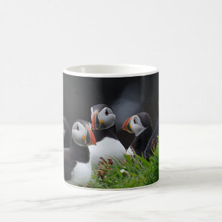 Taza De Café Cuadrilla del frailecillo
