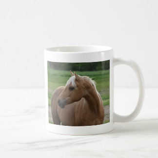 Taza De Café Cuál es Sizzlin Jac