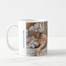 Taza De Café Cudddling Cats
