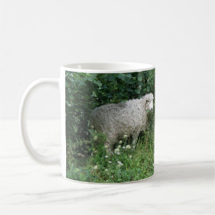 Taza De Café Cuidada lechuga blanca Fluffy comiendo Mug