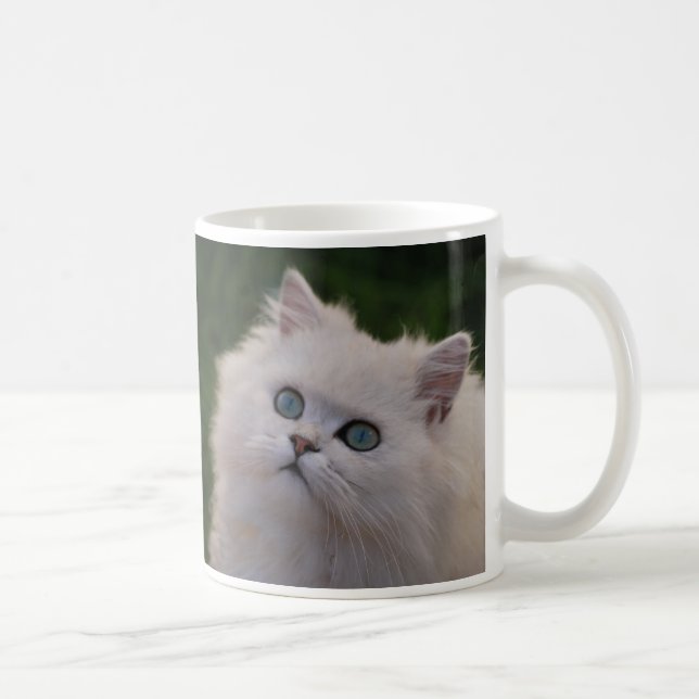 Taza De Café Curioso lindo gatito blanco (Derecha)