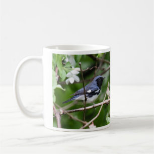 Taza De Café curruca azul Negro-throated