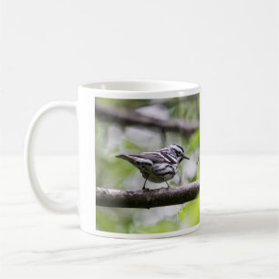 Taza De Café Curruca blanco y negro