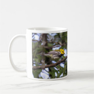 Taza De Café curruca verde Negro-throated