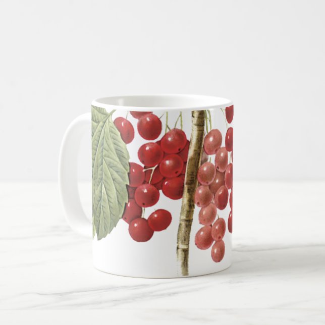 Taza De Café Curva roja (Ribes rubrum) de Redouté (Anverso izquierdo)