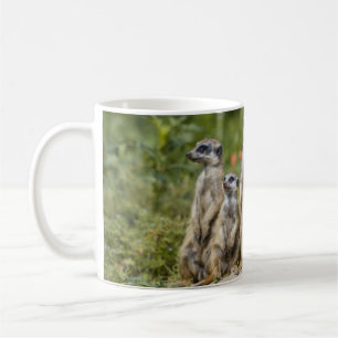 Taza De Café Cute Meerkats
