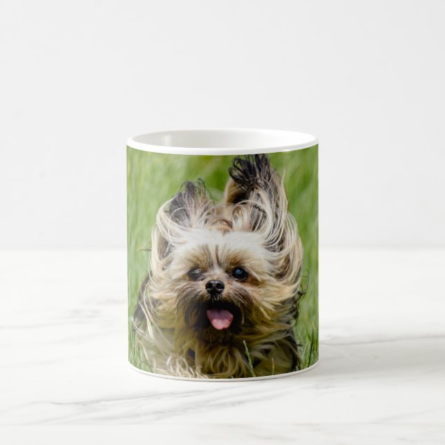 Taza De Café Cute Yorkshire Terrier Running Through Grass (Centro)