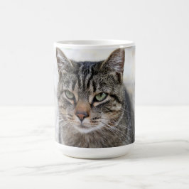 Taza De Café Cuto, dulce, adorable, gato Mug