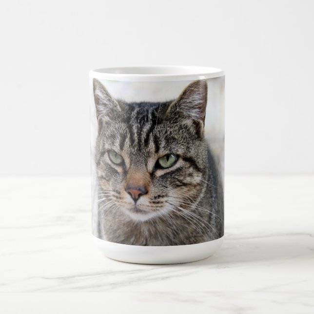 Taza De Café Cuto, dulce, adorable, gato Mug (Centro)