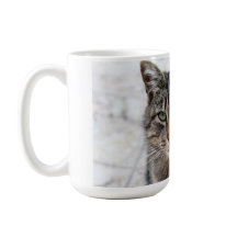 Cuto, dulce, adorable, gato Mug