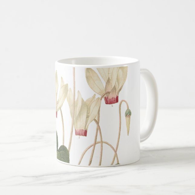Taza De Café cyclamen(Cyclamen sp.) de Redouté (Anverso derecho)
