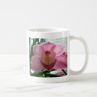 Taza De Café cymbidium rosado