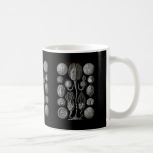 Taza De Café Cystoids