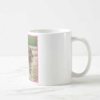 Taza De Café Dachshund