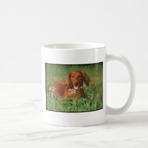 Taza De Café Dachshund de pelo largo rojo
