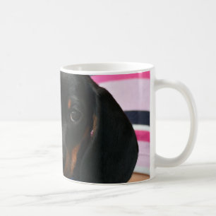 Taza De Café Dachshund Puppy Mascota Canino Animal