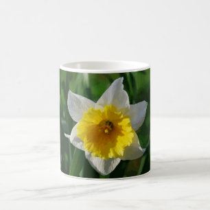 Taza De Café Daffodil gigante