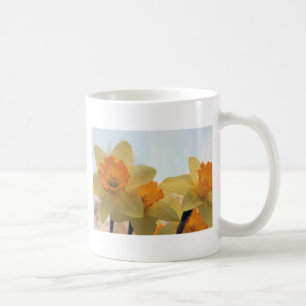Taza De Café Daffodiles