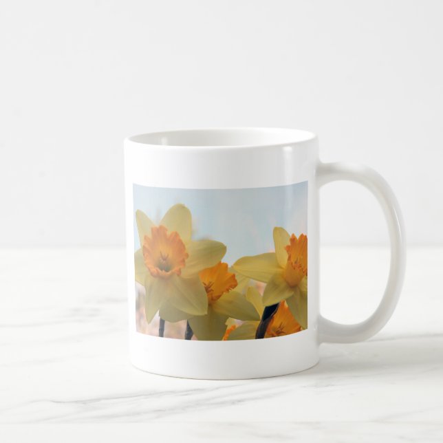 Taza De Café Daffodiles (Derecha)