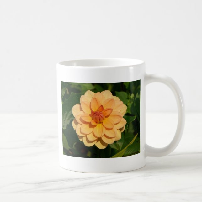 Taza De Café Dahlia 'David Howard (Derecha)