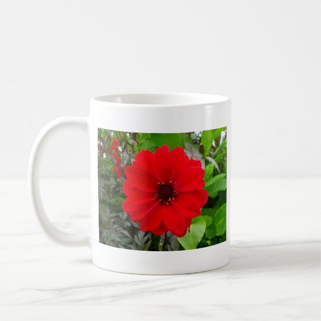 Taza De Café Dahlia - Obispo de Llandaff (Izquierda)