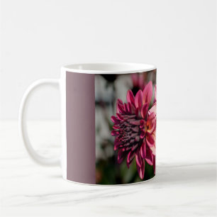 Taza De Café Dahlia Rosa – Fotografía de Arte Fino