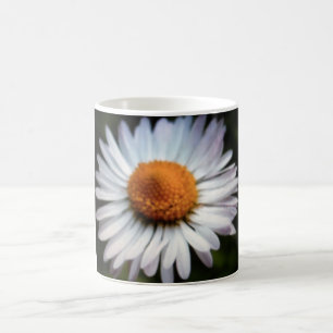 Taza De Café Daisy 1 Mug